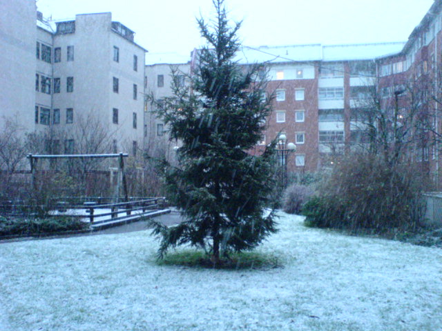 snowy_garden.jpg