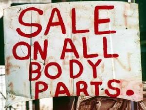 organs_sale.jpg