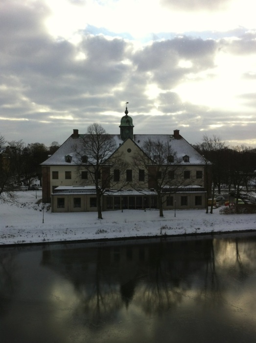 Hovratten121214
