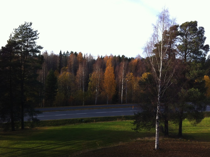 Autumn131013