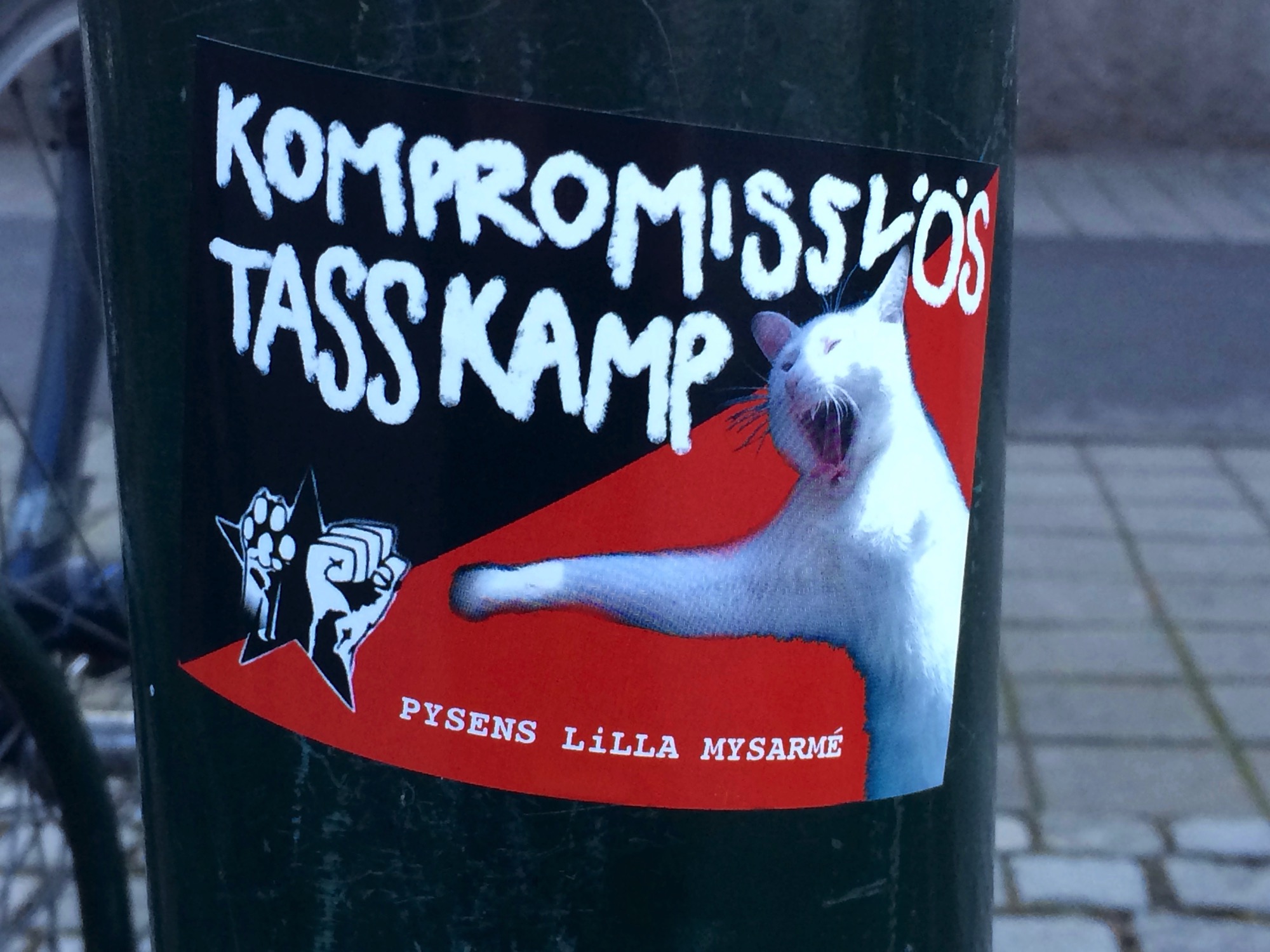 Cats160323