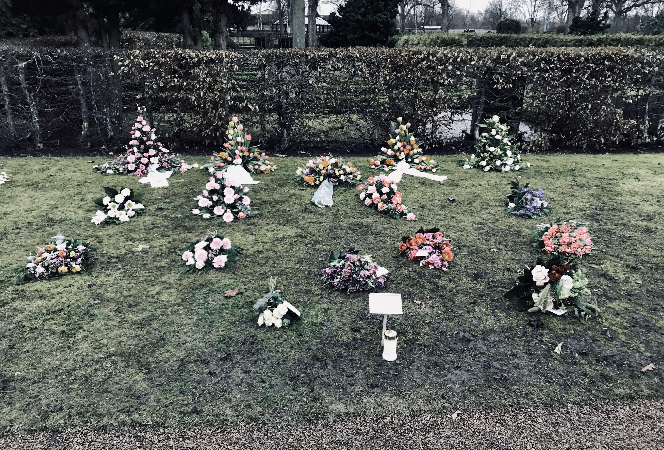Flowers200221