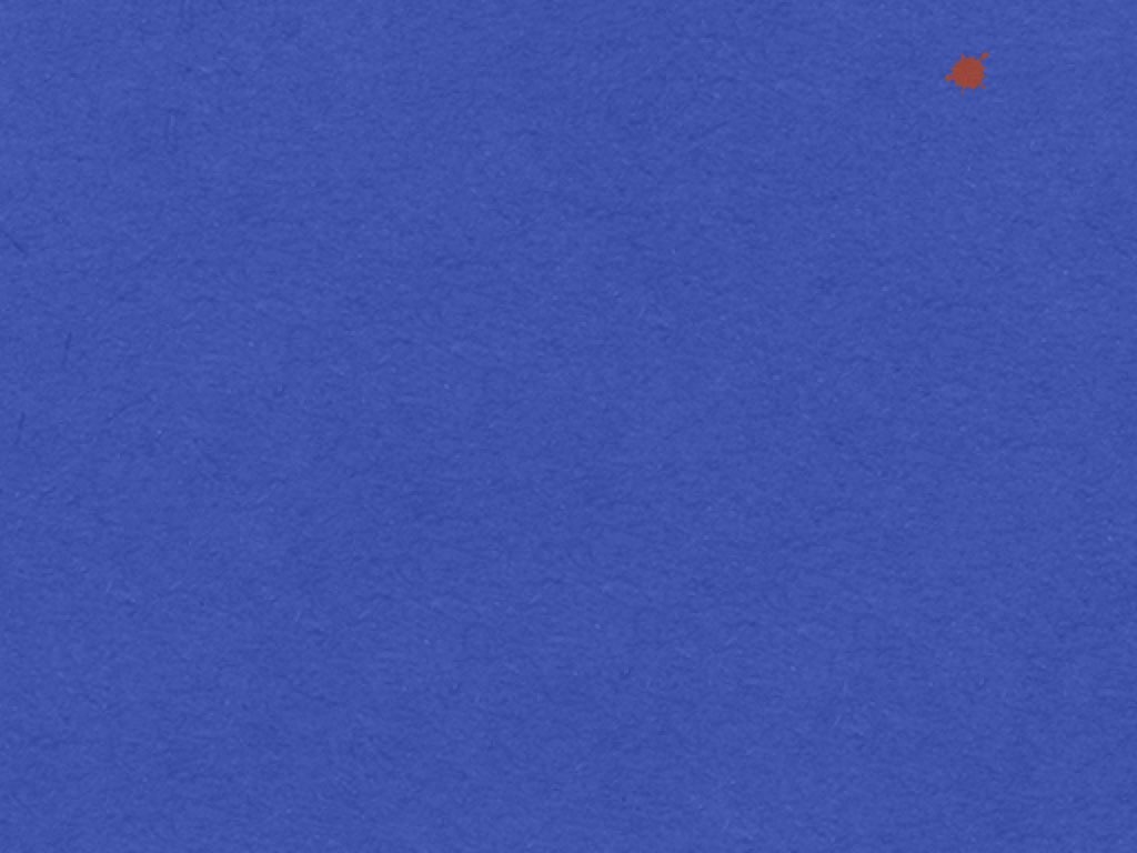 Blue210330
