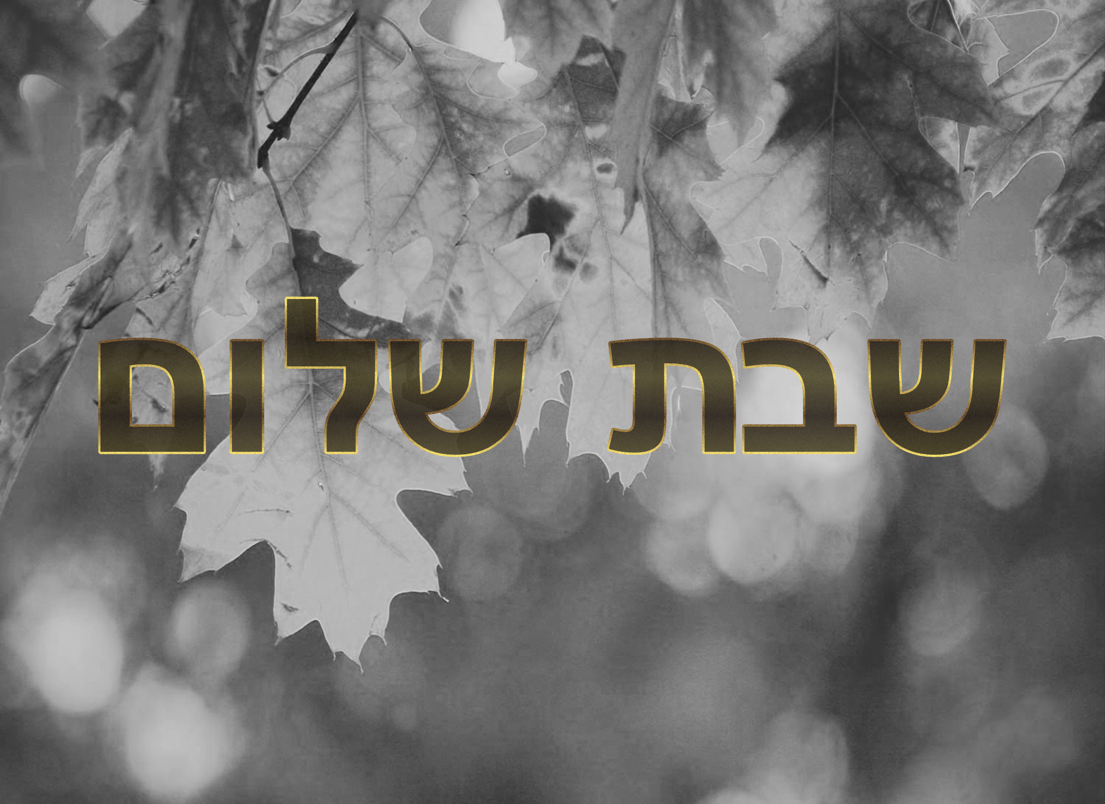 Shabbat211008