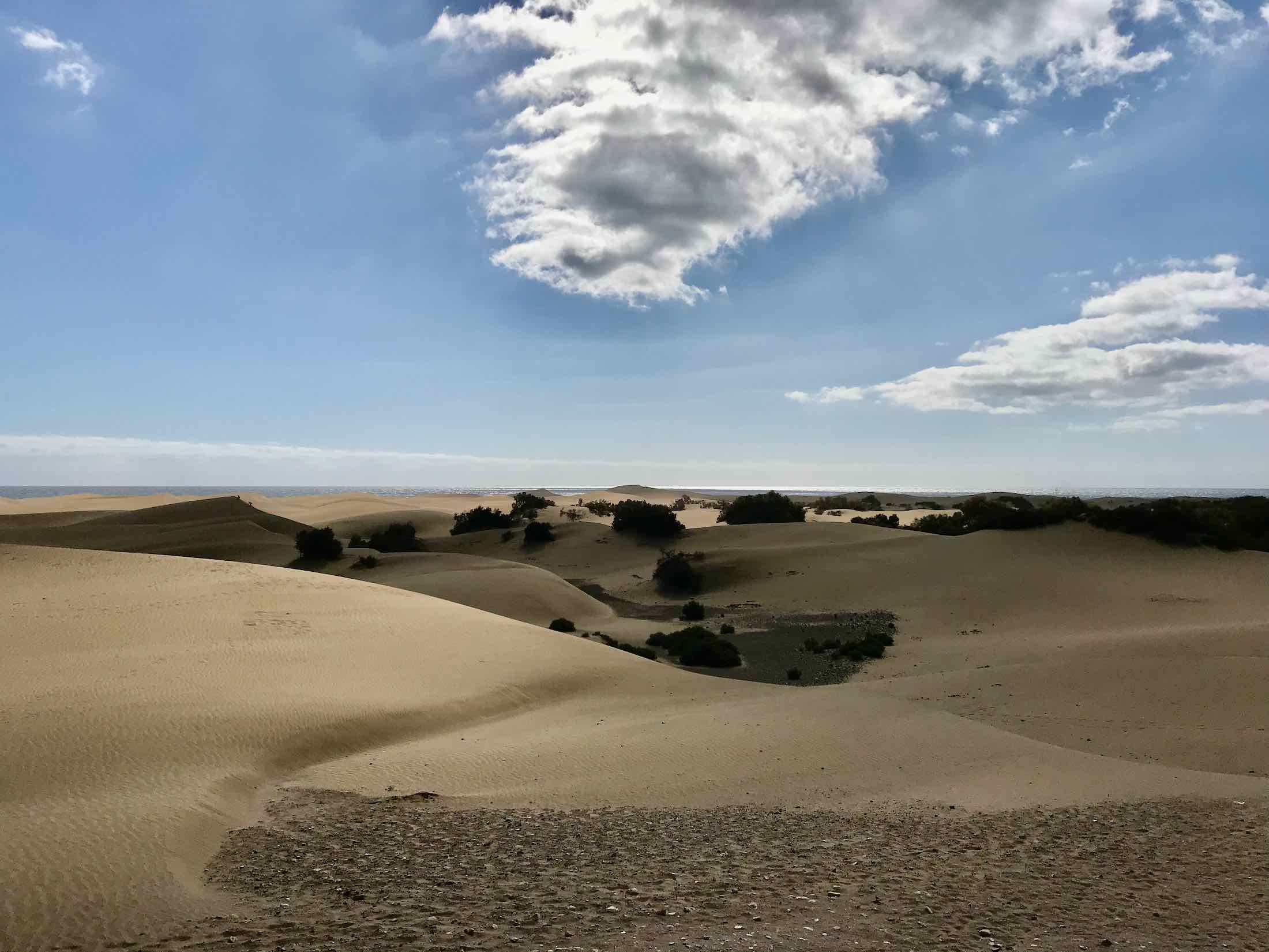 Gcdunes211107