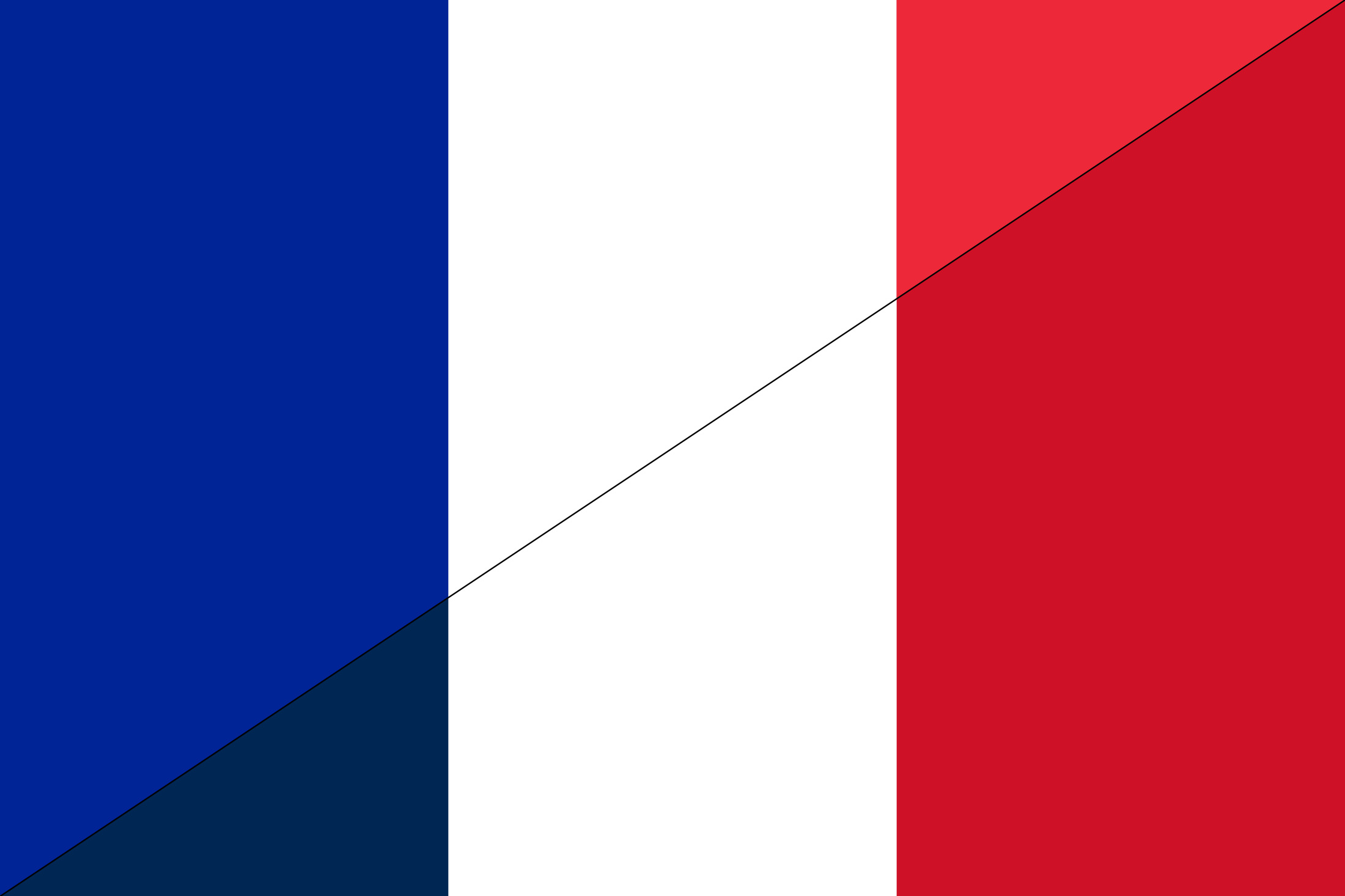 Franceflag211115