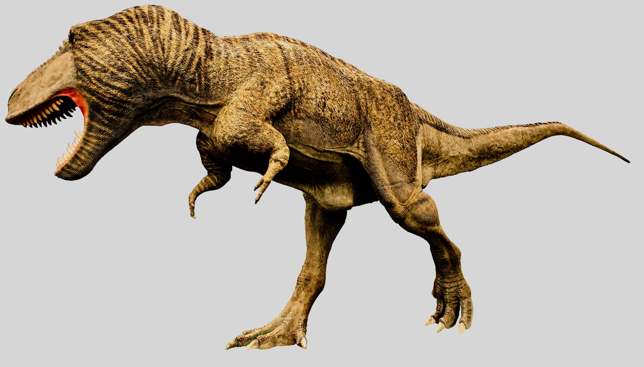 Dino220405