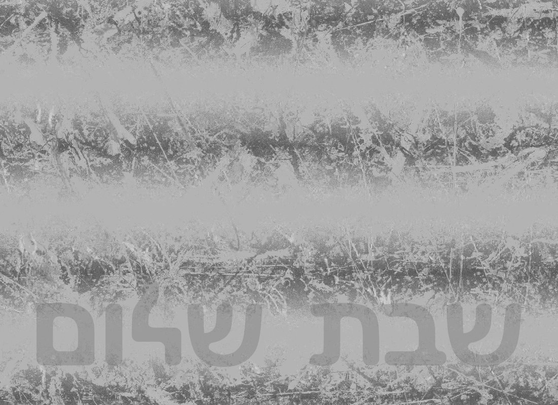 Shabbat220408
