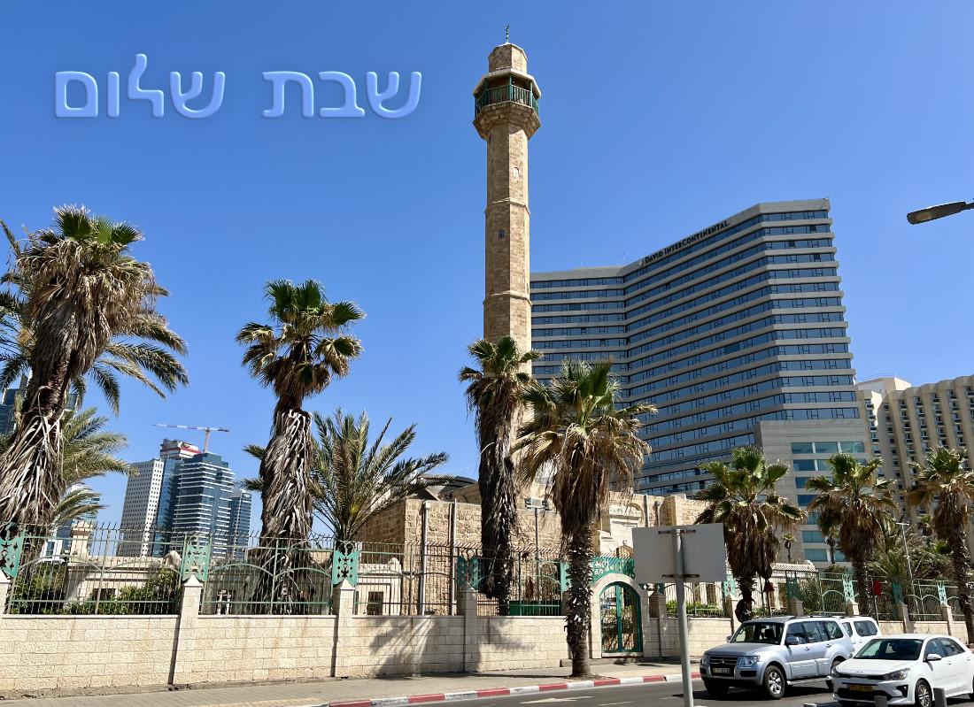Shabbat240419