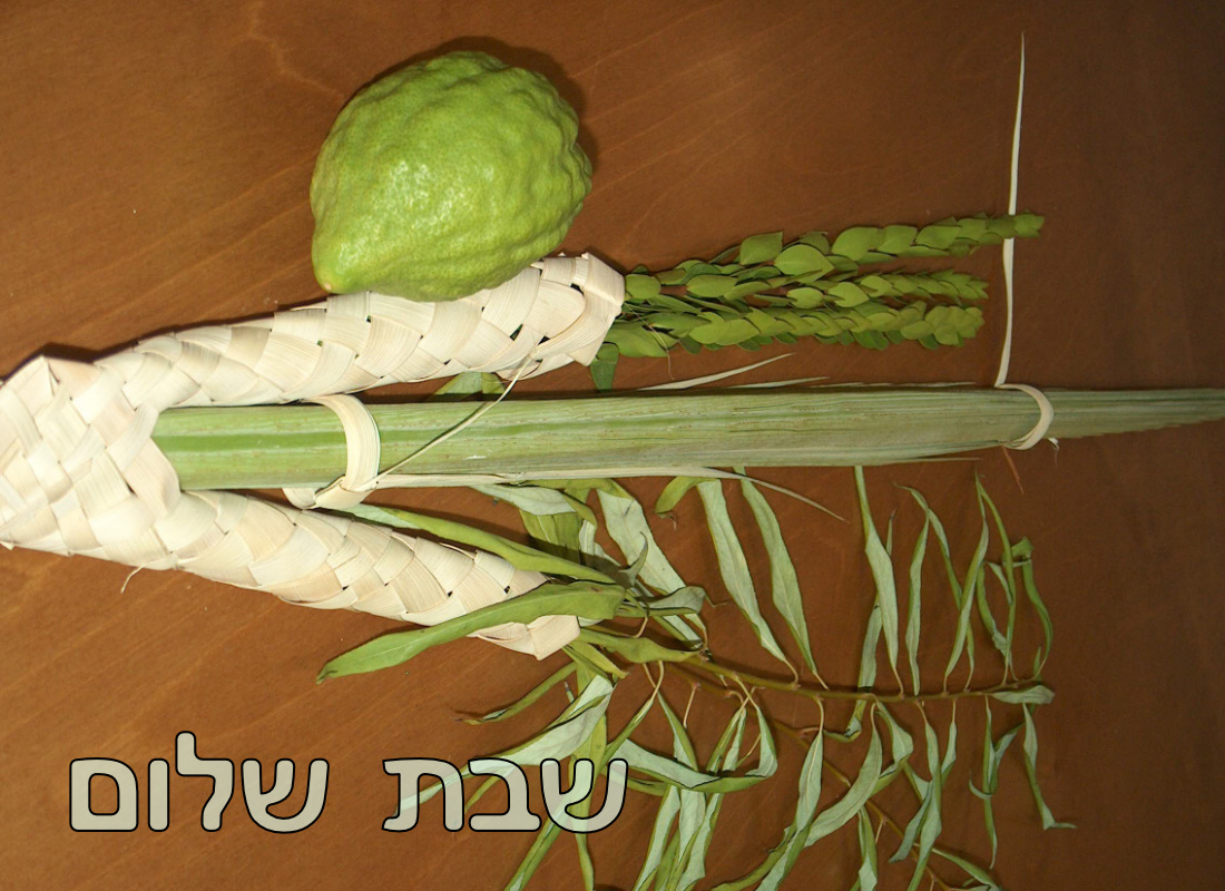Shabbat meesage and the four species for Sukkot.